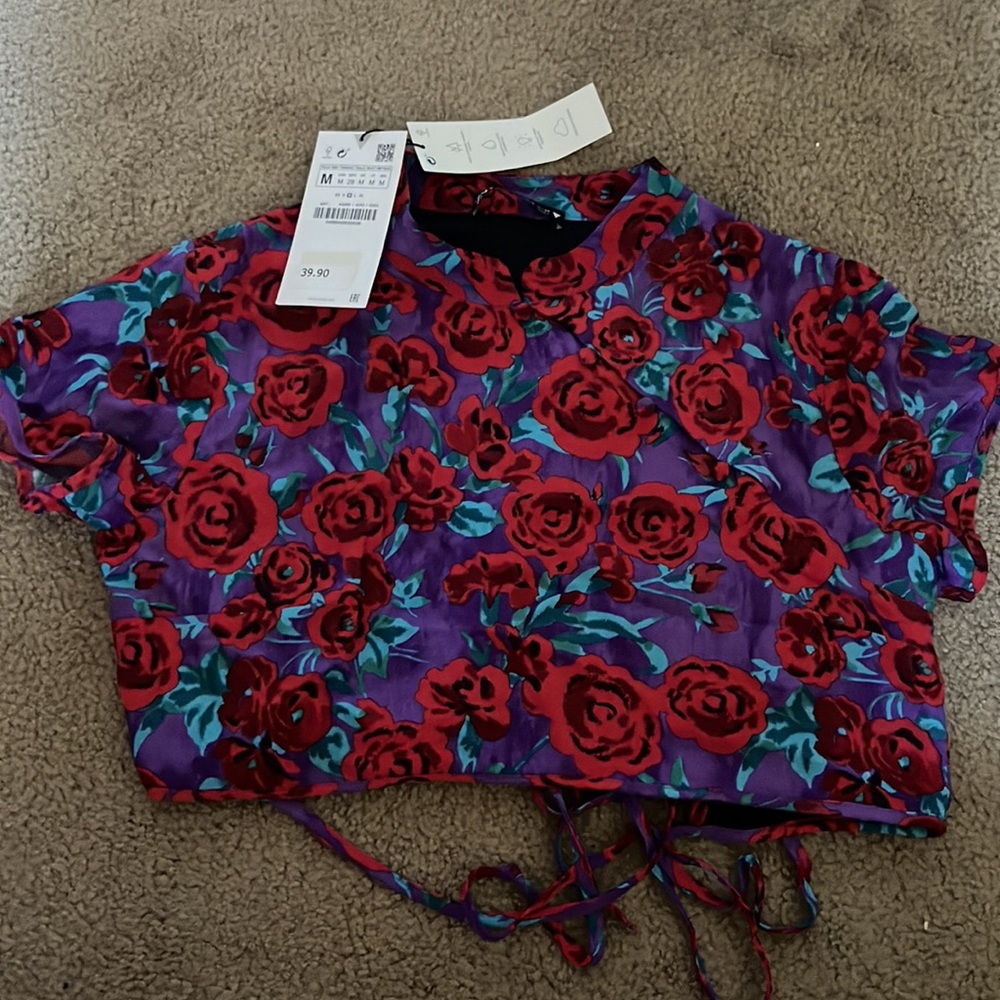 NWT Zara Crop Top